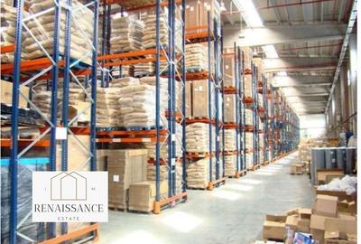 Hala Moderna 6200mp | Panouri Solare - Freidorf - Acces la Centura - 7