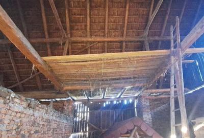 Casa generoasa mobilat utilata Sinca Noua - 28