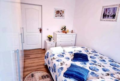 Proprietar inchiriez ap 2 camere - 7