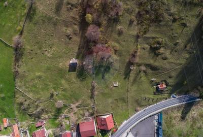 Teren Construcții intravilan de 5735 mp, în Moieciu - 4