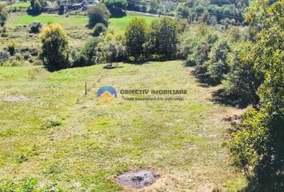 TEREN intravilan  2510 mp BORLEȘTI - ȘOVOAIA - 4