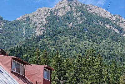 Apartament 3 camere+curte la Bu?teni - 7