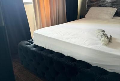 Apartament cu 2 camere decomandat, mobilat în Theodor Pallady - 3