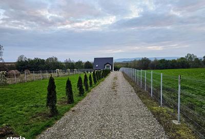 Casă cu 3 camere cu Teren 1900 Mp în Vârfu Câmpului - 4