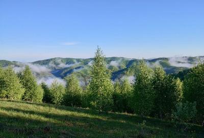 Spațiu comercial, în Holbav - 4