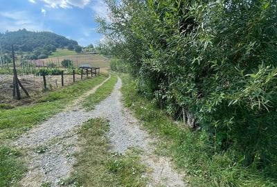 Teren agricol intravilan de 8355 mp, în Săcuieu - 4