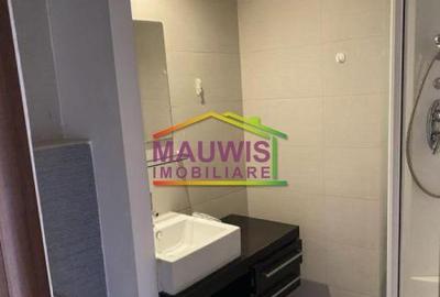 Apartament cu 2 camere semidecomandat, mobilat în Muncii - 8
