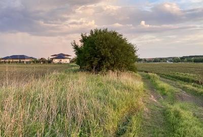 Teren vis a vis Laguna Albastra, Corbeanca - 4