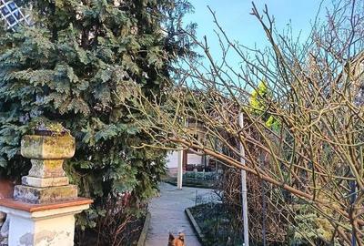 Casă cu 5 camere cu Teren 553 Mp în Bălcescu - 16
