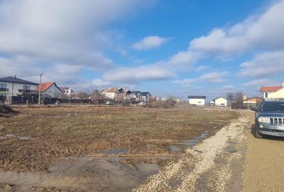 Teren Construcții intravilan de 1000 mp, în Prelungirea Craiovei - 4