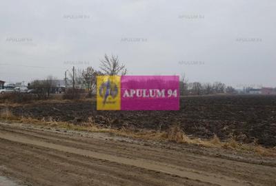 Teren Construcții intravilan de 13705 mp, în 1 Decembrie - 6