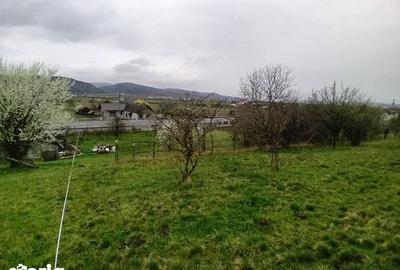 Teren de 3129 mp, în Central - 3