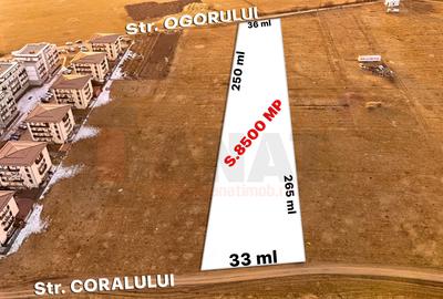 RO/EN Teren Intravilan, 8.500 mp, Turnisor, deschidere la 2 strazi |SkyView - 2