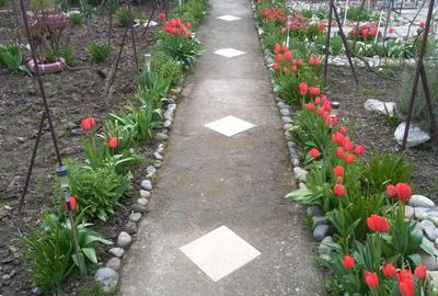 Casă în Berecuța - 9