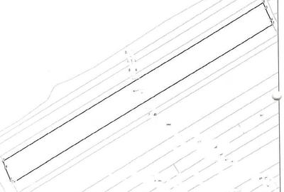 Teren de 5000 mp, în Central - 2