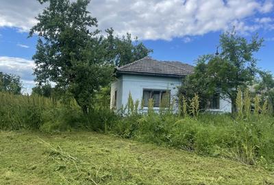 Casă cu 2 camere în Dobroteasa - 4