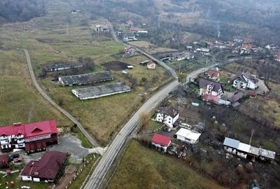Teren de 8574 mp, în Căpățânenii Pământeni - 4