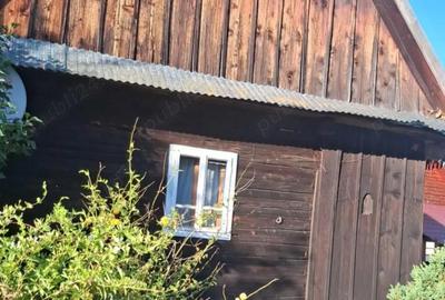 Casă cu 2 camere în Vidra - 5