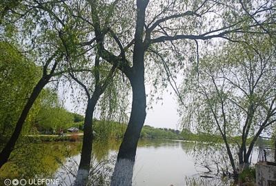 Casă cu Teren 830 Mp în Chiriacu - 2