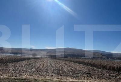 Teren în Pădureni (Ciurila) - 2