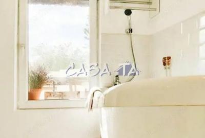 Casă cu 3 camere cu Teren 4368 Mp în Tetila - 6