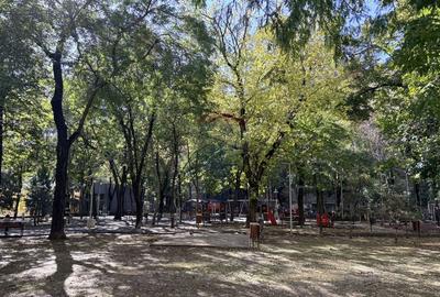 PRIMA INCHIRIERE, apartament 2 camere, Gara de Nord - 11