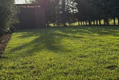 Duplex cu 4 camere - zona parcului Terra - 33