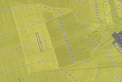 Teren extravilan cota parte 3/24, Nalbant ; ID: R2827364 - 8