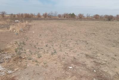 Teren intravilan – 1000 mp, Comuna Fundeni (limita Ilfov – Călărași) Teren intravilan – 1000 mp, Comuna Fundeni (limita Ilfov – Călărași) - 1