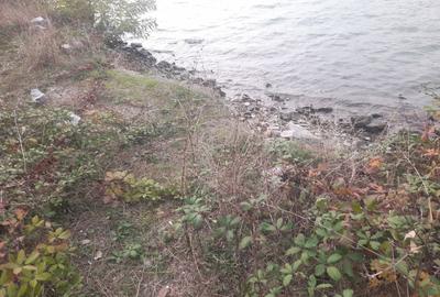 Vând teren pe clisura Dunării - 8