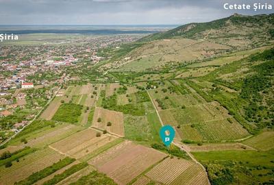 Teren extravilan - 3654 mp Dealul Șiriei - 1