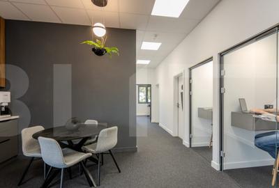 Spa?iu birouri, 130 mp, zona Pia?a Victoriei - 11