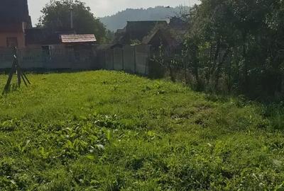 Casă cu 3 camere în Săliște - 12