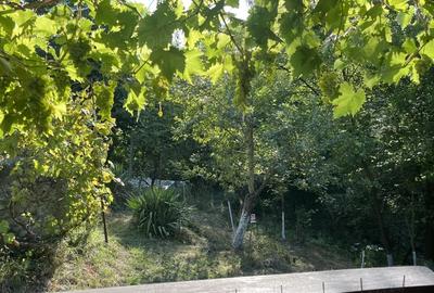 Casa situata intr-o zona superba - 8