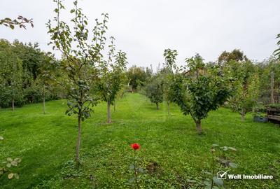 Casa de vanzare in Andrei Muresanu - zona exclusivista! - 11