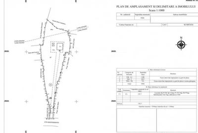 Casă cu 5 camere cu Teren 5950 Mp în Nord - 4