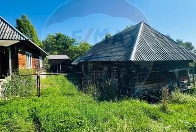 Casă individuală cu 2 camere cu Teren 4890 Mp în Hărnicești - 3