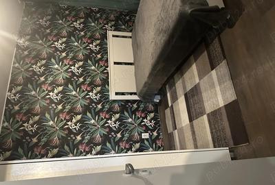 2 camere, decomandat, petfriendly, recent renovat - 7