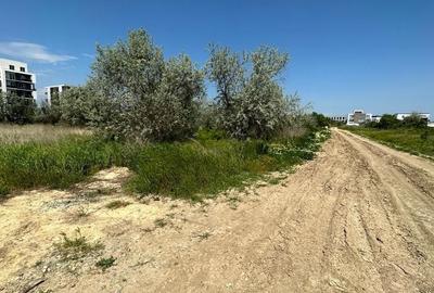 TEREN INTRAVILAN DESTINATIE REZIDENTIALA. - 4