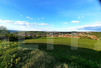 Teren cu suprafata de 800 mp, PUZ in lucru, zona de case, Bo - 5