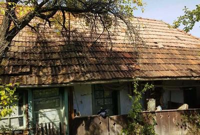 Casă cu 2 camere în Negreni - 1