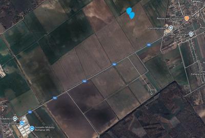 Teren intravilan Buftea 17500 mp - 3