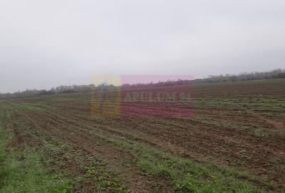 Teren Construcții intravilan de 2250 mp, în 1 Decembrie - 8