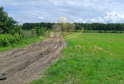 Teren agricol extravilan de 13500 mp, în Boteni - 4