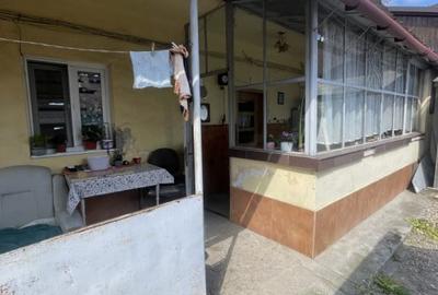 Casa in Timisoara cu 4 apartamente, 440mp teren propriu