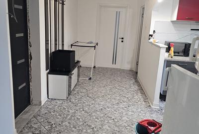 Apartament cu 2 camere decomandat în Miron Costin - 4