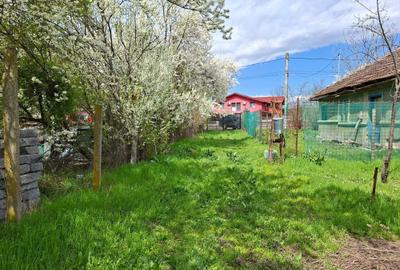 Teren de 753 mp, în Snagov - 8