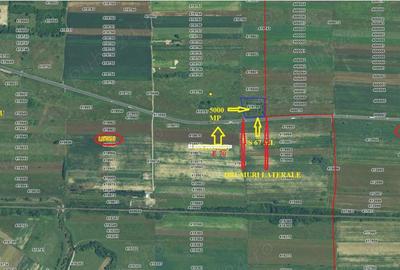 Teren de 5000 mp, în Lugoj - 1