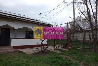 GIURGIU - COM. BUCSANI (SAT OBEDENI) CASA 2 CAM DE VANZARE - 27