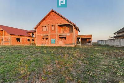 Proprietate impresionantă între Curtici și Macea - 1